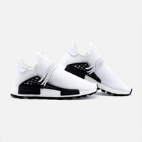 golf guy range walker 1s