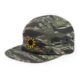 abc liri sunflower special 2.0