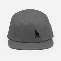 cat on the hat