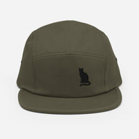 cat on the hat