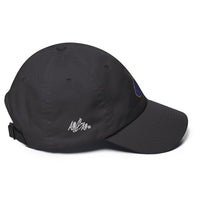 abc wv cap