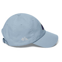 abc wv cap