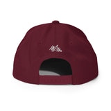 abc icon baseball cap