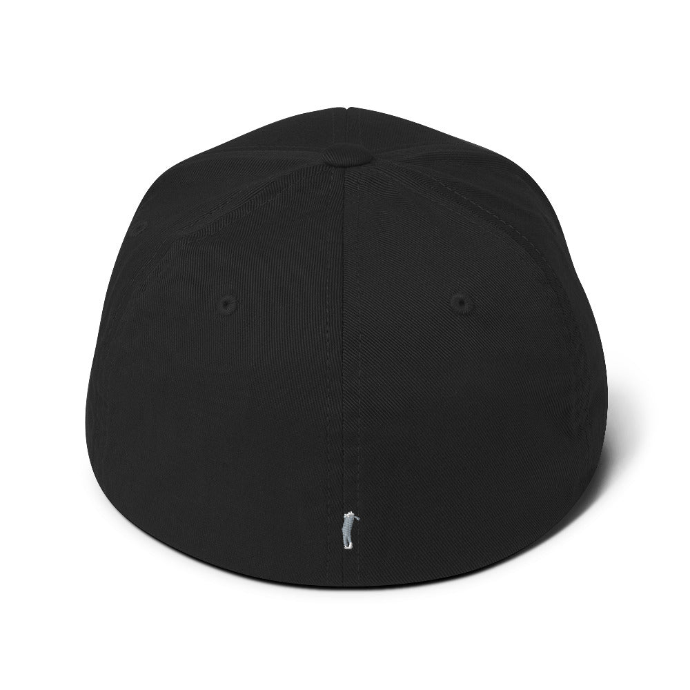 golf guy cap