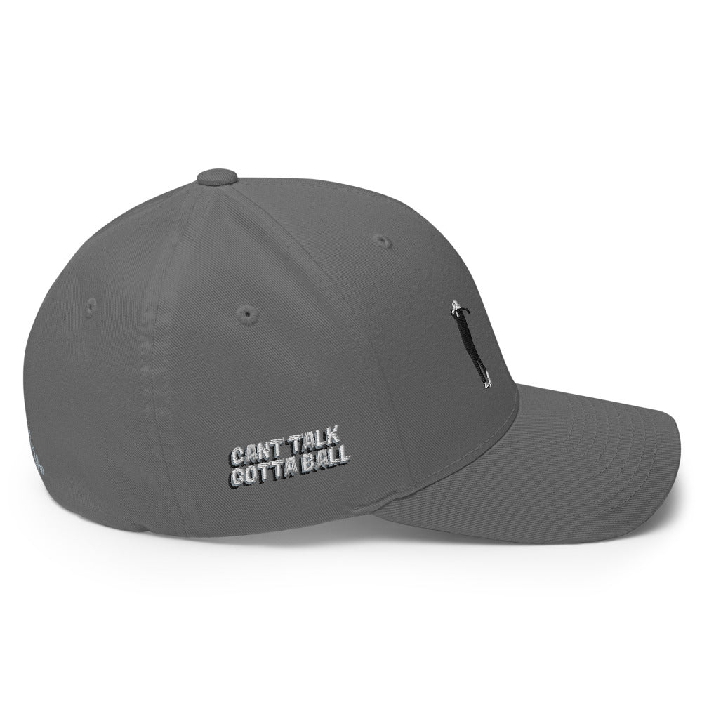 golf guy | abc fitted ctgb cap