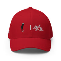 golf guy | abc fitted ctgb cap