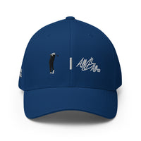 golf guy | abc fitted ctgb cap