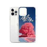 abc pink liri case