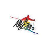 abc ski stick