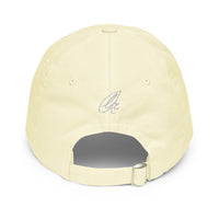 abc pastel cap