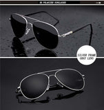 abc polarized sunnies