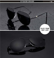 abc polarized sunnies