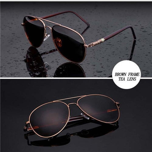abc polarized sunnies