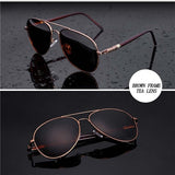 abc polarized sunnies