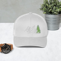 abc liriodendron evergreen