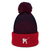 abc hockey man winter cap
