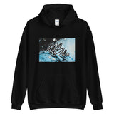 abc drop hoodie