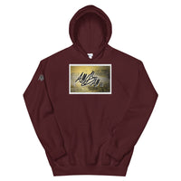 abc classic bf hoodie