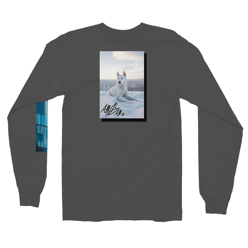 abc sd long tee