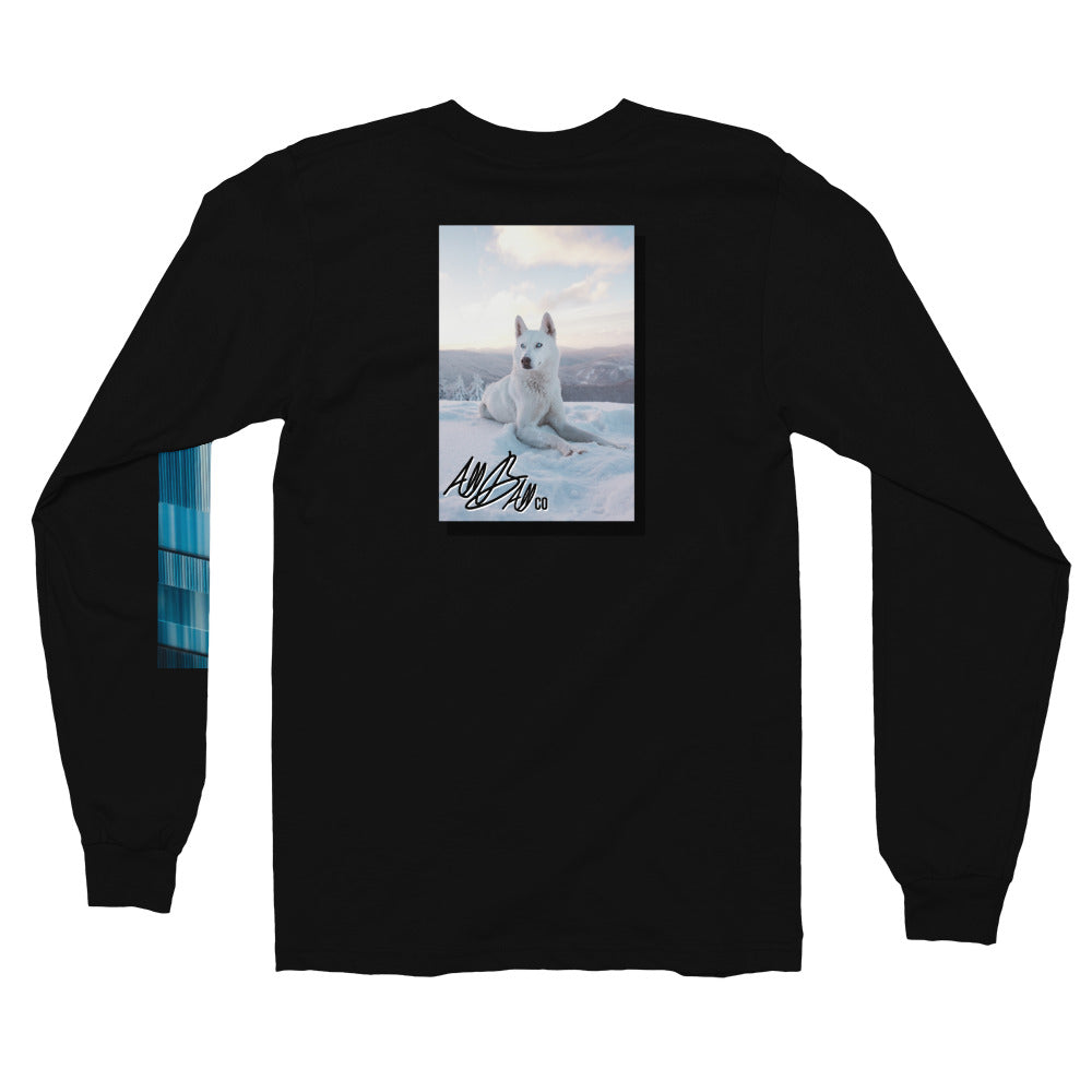 abc sd long tee